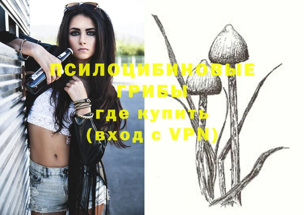 кокс Алзамай