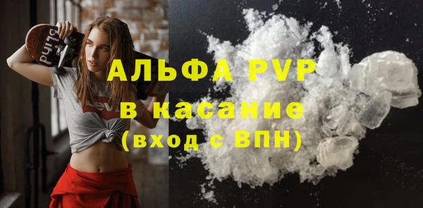 мет Алексин
