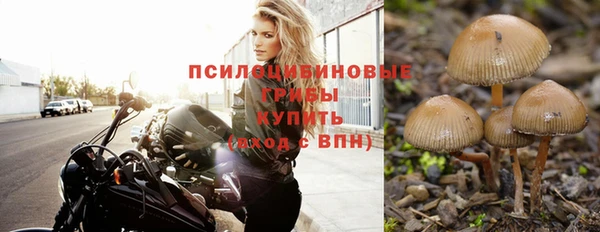 мет Алексин